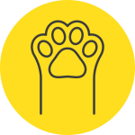 paw